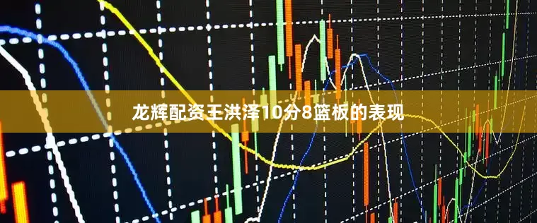 龙辉配资王洪泽10分8篮板的表现