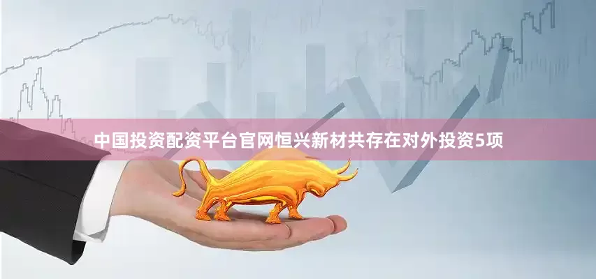 中国投资配资平台官网恒兴新材共存在对外投资5项