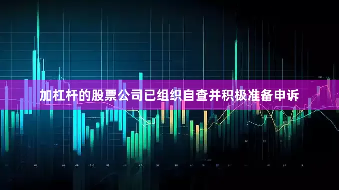 加杠杆的股票公司已组织自查并积极准备申诉