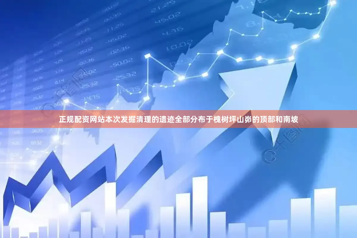正规配资网站本次发掘清理的遗迹全部分布于槐树坪山峁的顶部和南坡